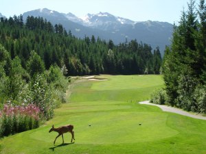 Fairmont Whistler Golf Course