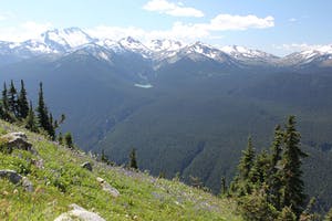 View of alpine meadow, and mountain peaks near whistler
