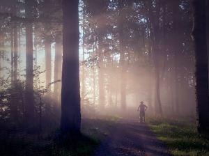 valley trail Whistler mountain biker