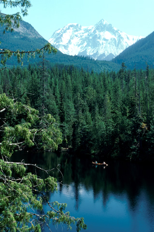 Garibaldi Mountain from Alice Lake