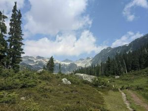looking up through brandywine meadows at brandywine peak.