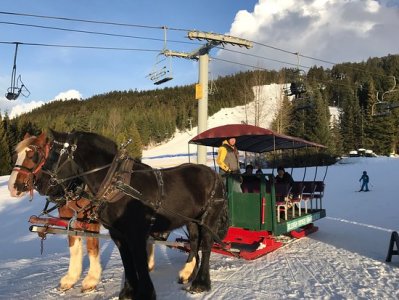 Blackcomb Sleighrides from Base 2 Whistler