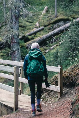 woman hiking in pacific northwest, wooden trail