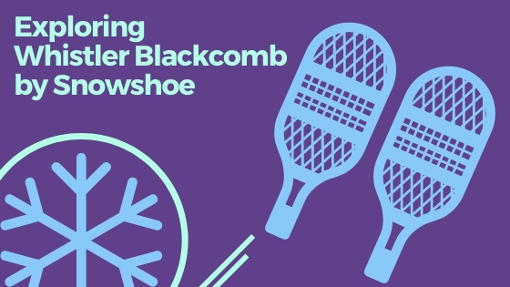 Whistler-adventures-blackcomb-showshoe Whistler Adventures snowshoe