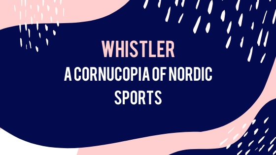 Banner Nordic Sports
