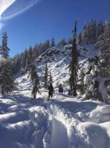 pillows of snow on a trail in Whistler's Olympic Park